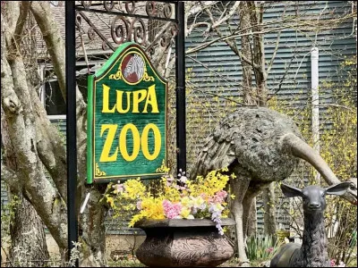 Quel est ton animal pr&eacute;f&eacute;r&eacute; ?