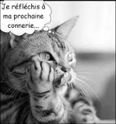 Selon un proverbe, la nuit tous les chats sont...