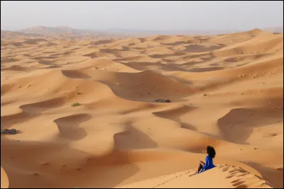 Quel est le plus grand désert du monde ?