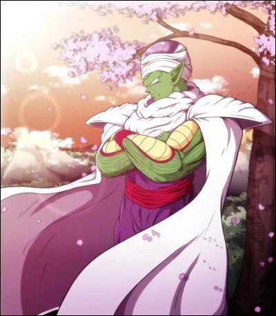 Dans quel manga retrouve-t-on Piccolo ?