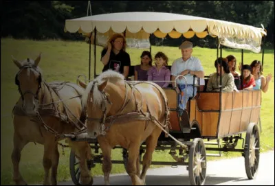 Quel est le nom de cette voiture hippomobile à capote et 4 roues, destinée au transport des personnes ?