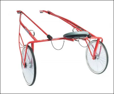 Quel est le nom de cette voiture hippomobile à 2 roues ?