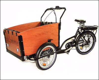 Quel est le nom de ce véhicule à 3 roues destiné au transport de marchandises ?