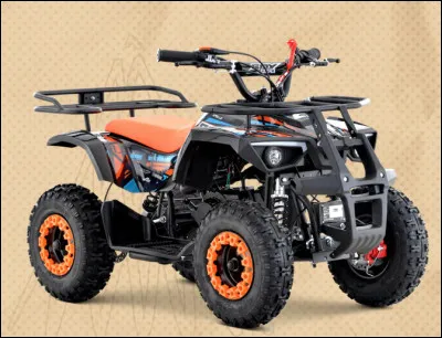 Quel est le nom de ce cycle à moteur tout terrain à 4 roues ?