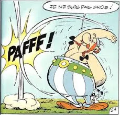 Quelle cité sépare Aigues-Mortes de la mer ?