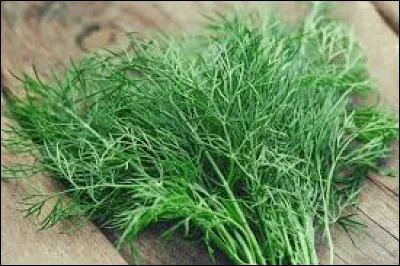 Quel est le point culminant des Pyrénées ?