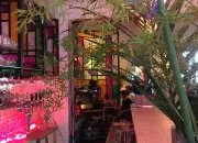 Test Es-tu une personne qui est baka ou normale ?