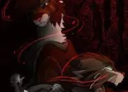 Quiz Connais-tu bien Ombre d��rable ?