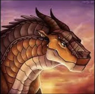 Où se situe la cicatrice de Jonc ?