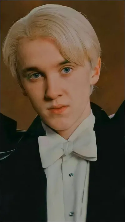 Sur quel personnage de ''Harry Potter'' es-tu en crush ?