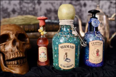 Quel cours pr&eacute;f&egrave;res-tu ?