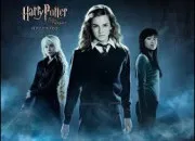 Quiz Harry Potter ou Cendrillon ? (2)