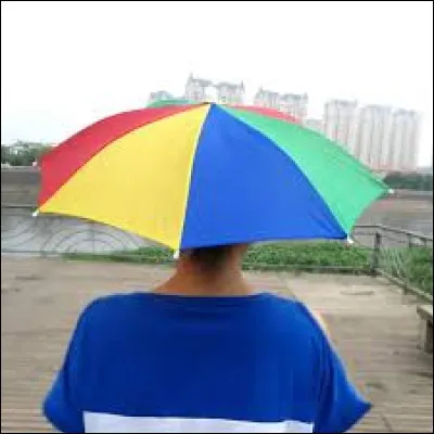 Laquelle de ces propositions est un meuble ?