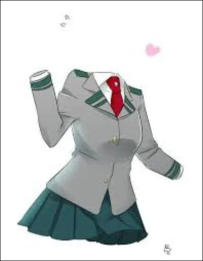 De quoi est compos&eacute; son costume de super-h&eacute;ro&iuml;ne ?