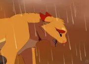 Quiz Un moji, un chat dans LGDC