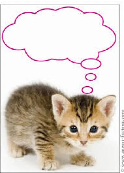 Quel animal pr&eacute;f&eacute;rez-vous ?