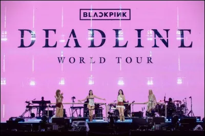 Qui sont tes préférées dans Blackpink ?