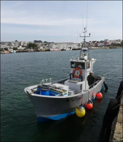 Lequel de ces films est le 1er long métrage d'animation ?