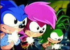 Quels sont les noms des personnages principaux de Sonic le Rebelle ?