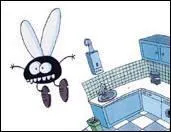 Quelle est cette mission ?