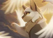 Quiz Aile de Colombe