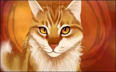 Qui est son mentor ?