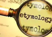 Quiz Quiz tymologie (9)