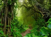 Test Quel paysage obtiendras-tu ?