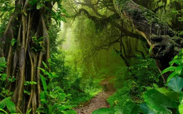 Quiz Test de personnalit