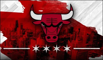 Dans quel sport joue léquipe des Chicago Bulls ?