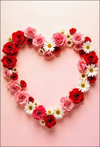 Qui a dit : "Le coeur a ses raisons que la raison ne conna&icirc;t point" ?