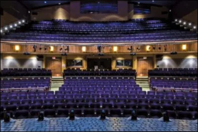 Tu as le choix entre quatre perruques, laquelle choisis-tu ?