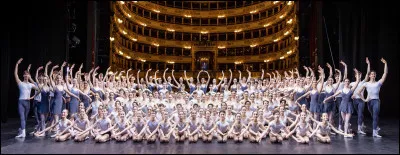 Si tu participais &agrave; une com&eacute;die-ballet, voudrais-tu &ecirc;tre danseur de fond ?