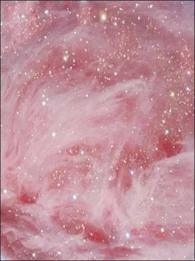 Quelle est ta couleur préférée ?