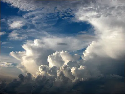 Rêver c'est y être !