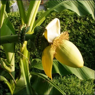 C'est une réussite quand on perd !
