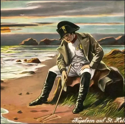 Quel est l'enfant l&eacute;gitime de Napol&eacute;on ?