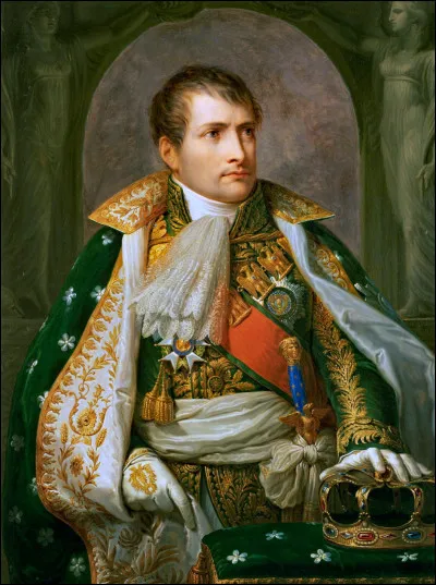 D'o&ugrave; vient pr&eacute;cis&eacute;ment, Napol&eacute;on Bonaparte ?