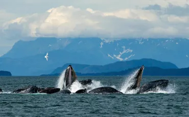 Quiz Test de personnalit�