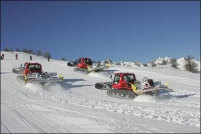 Dameuses , on les appelle souvent :