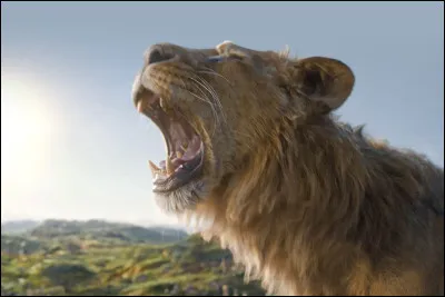 Quelle est la signification du prénom Mufasa ?