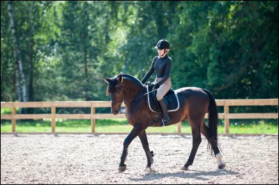Quelles sont les disciplines préférées de ton cheval ?