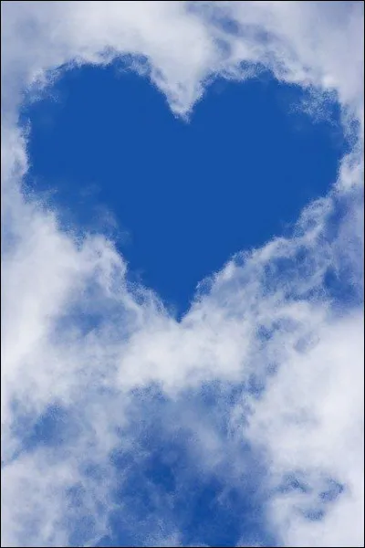 Kashyyyk ! Est-ce une planète de "Star Wars" ou un dinosaure ?