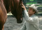 Test Quel film, quel dessin anim� ou quelle s�rie sur les chevaux vas-tu regarder prochainement ?