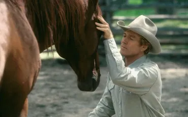 Quiz Test de personnalit�