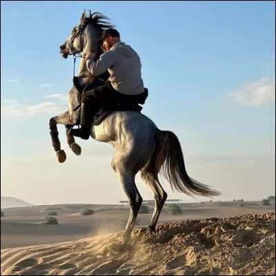 Quel sc&eacute;nario &eacute;questre pr&eacute;f&egrave;res-tu dans un film ?