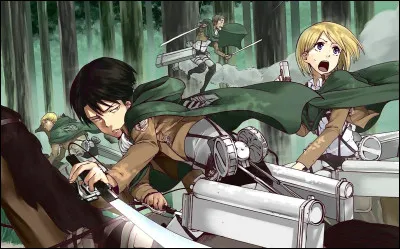 Et pour finir, quel est le nom original de L'Attaque des Titans ?