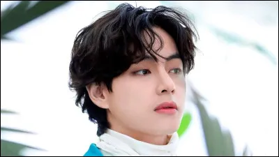 Quelle est la plat préféré de V ?