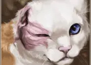 Quiz Handicaps et malformations dans LGDC