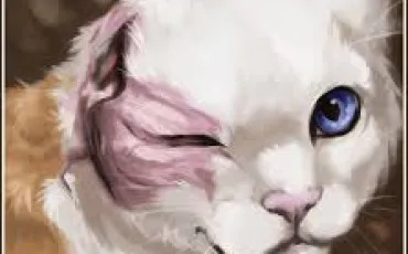 Quiz Littrature, posie